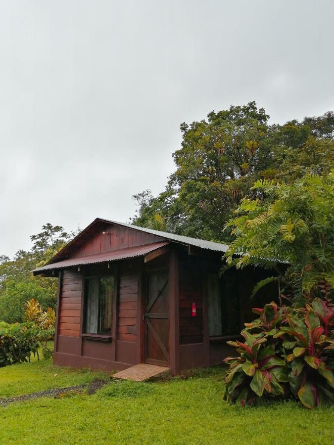 Cataratas Bijagua Lodge, Incluye Tour Autoguiado Bijagua Waterfalls Hike Exterior foto