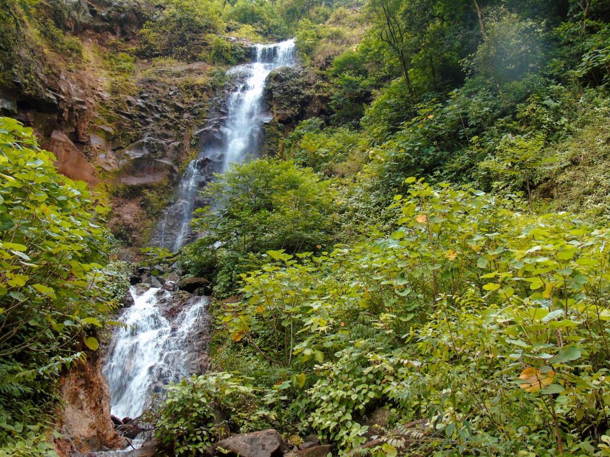 Cataratas Bijagua Lodge, Incluye Tour Autoguiado Bijagua Waterfalls Hike Exterior foto