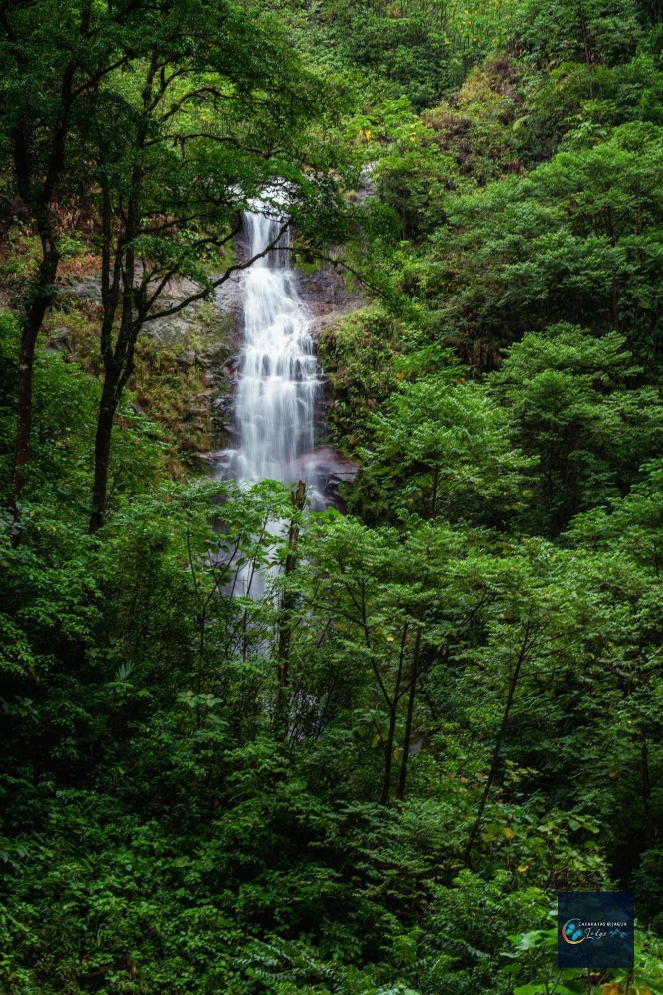 Cataratas Bijagua Lodge, Incluye Tour Autoguiado Bijagua Waterfalls Hike Exterior foto