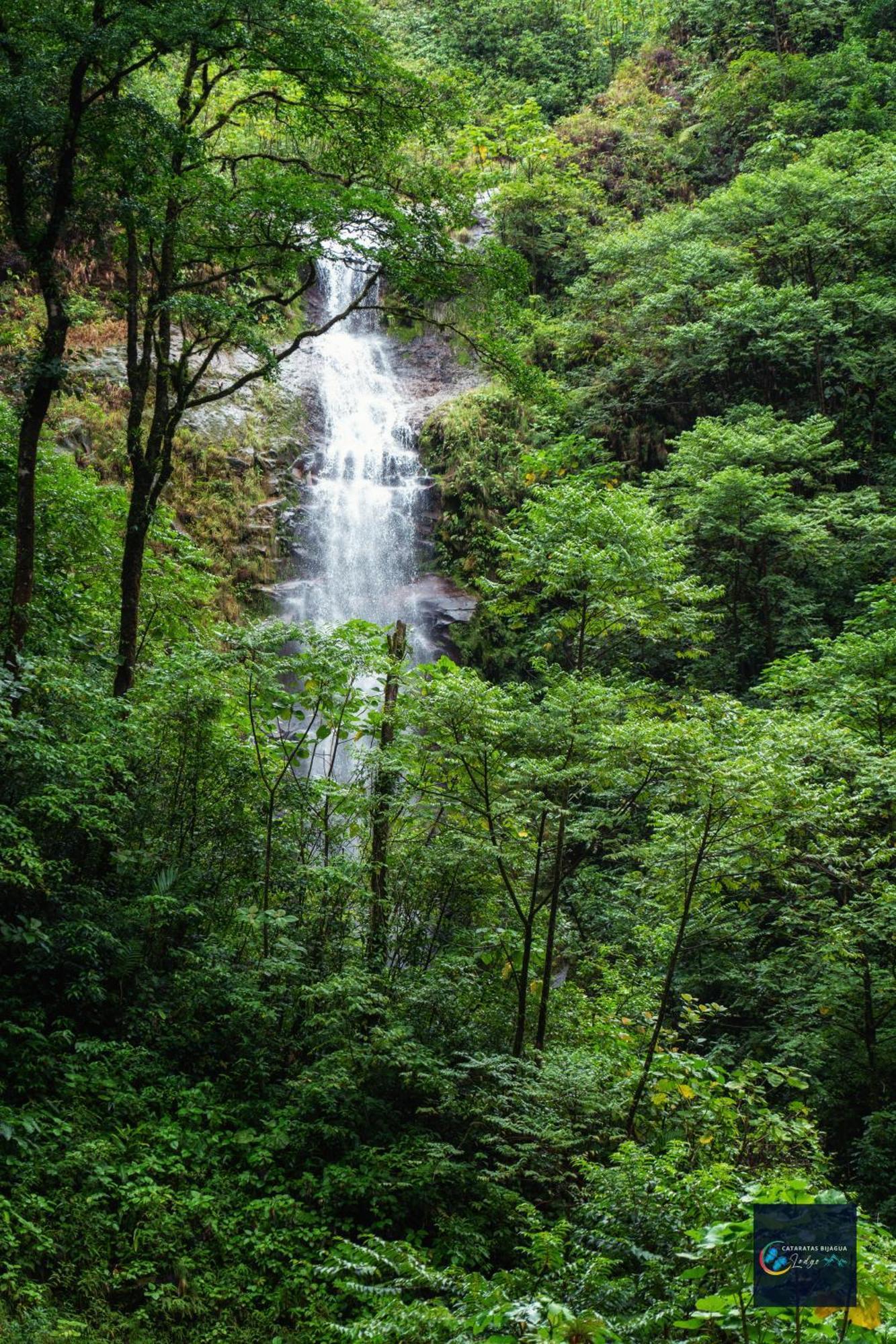 Cataratas Bijagua Lodge, Incluye Tour Autoguiado Bijagua Waterfalls Hike Exterior foto